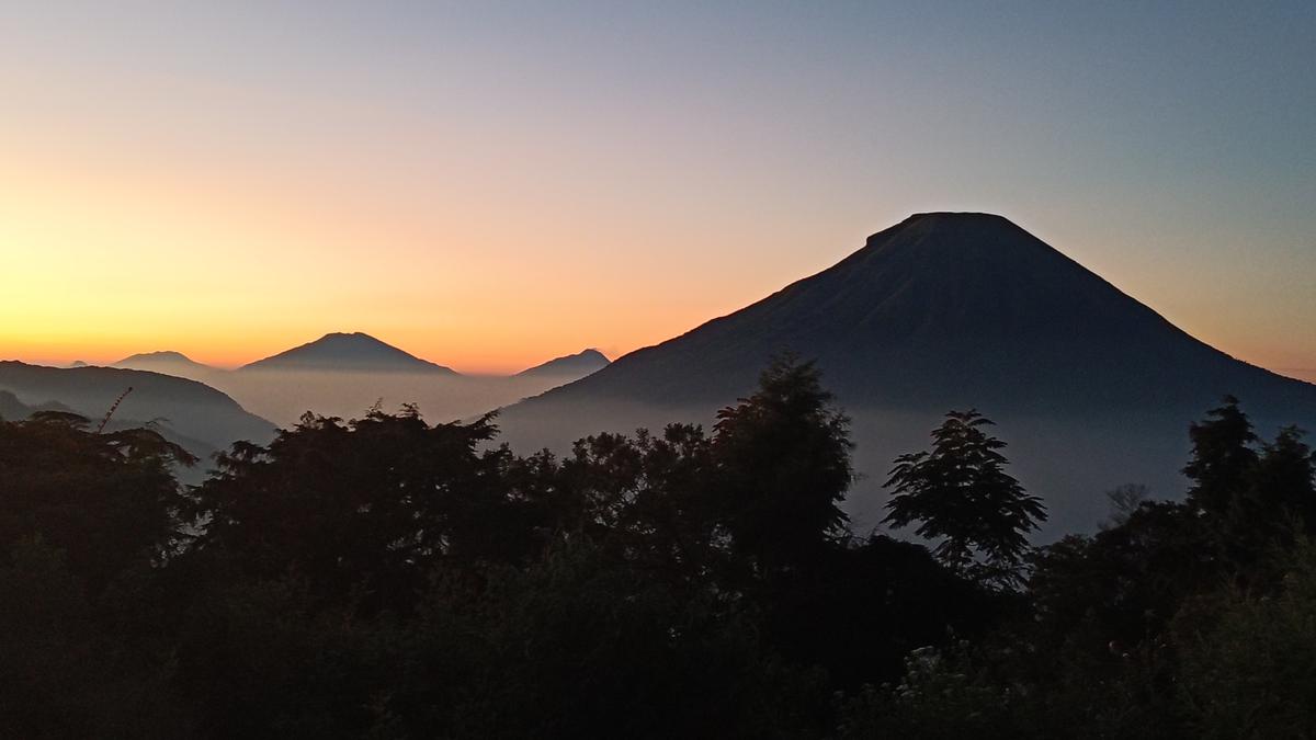 Desa Wisata di Dieng Pancing Turis Lewat Pertanian