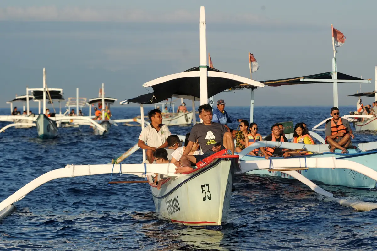 Lumba-Lumba Liar di Pantai Lovina Bali