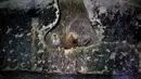 <p>Ikon religius peninggalan pengunjung sebelumnya terlihat dalam gua pemakaman Periode-Bait Kedua atau Gua Salome berusia 2000 tahun yang baru-baru ini ditemukan di Hutan Lachish, Israel, 20 Desember 2022. Para arkeolog mengatakan bahwa gua tersebut digunakan pada periode Bizantium dan awal Islam, kemudian dikenal sebagai Gua Salome karena tradisi populer yang mengidentifikasinya sebagai tempat pemakaman Salome, bidan Yesus. (AP Photo/ Maya Alleruzzo)</p>