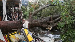 Akibatnya, sejumlah bangunan rumah toko (ruko) yang ada di sekitar mengalami kerusakan akibat tertimpa dahan dan ranting pohon. (merdeka.com/Arie Basuki)