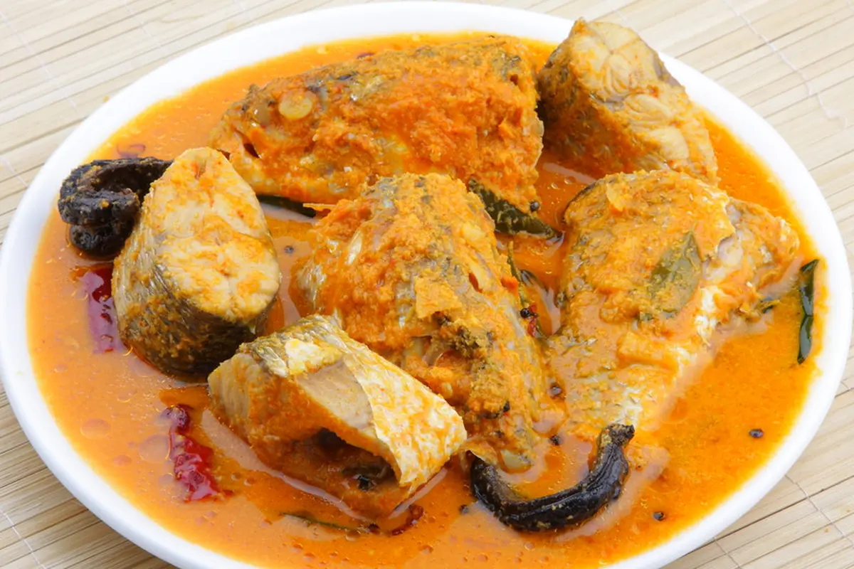 ikan gabus kuning