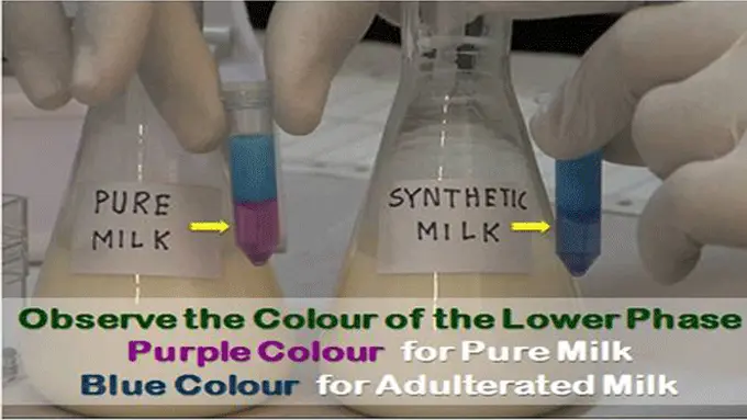 Cara Membedakan Susu Bubuk yang Menggunakan Deterjen di India