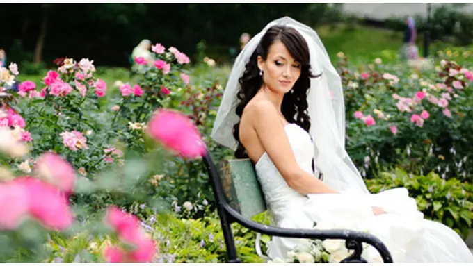 courtesy of shutterstock