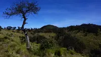 Hargo Tiling tampak dari Pasar Dieng, jalur pendakian Gunung Lawu via Candi Cetho. (Solopos/Mariyana Ricky P.D.)