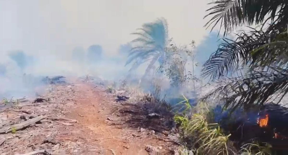 Kebakaran Hutan Meluas di Riau