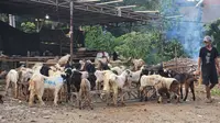 Apa Benar Makan Daging Kambing Bikin Darah Tinggi? Ini Fakta dan Cara Aman Mengolahnya