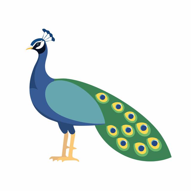 Peacock