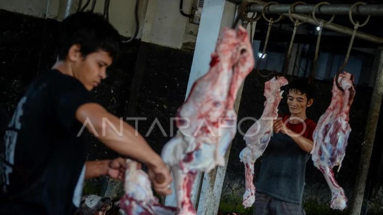 Tarif Potong Hewan Kurban RPH Bayur Tangerang Tetap Rp60 Ribu, Fasilitas Modern Siap Layani Warga