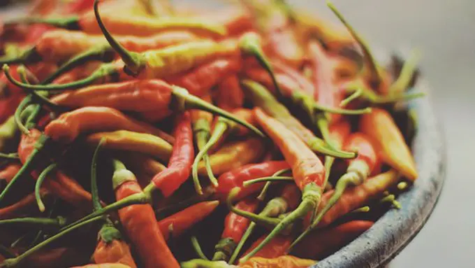 copyright unsplash.com/Adi Chrisworo