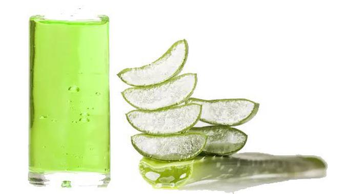  Lidah  Buaya  Bisa Bikin Cantik Berseri Gimana Caranya 