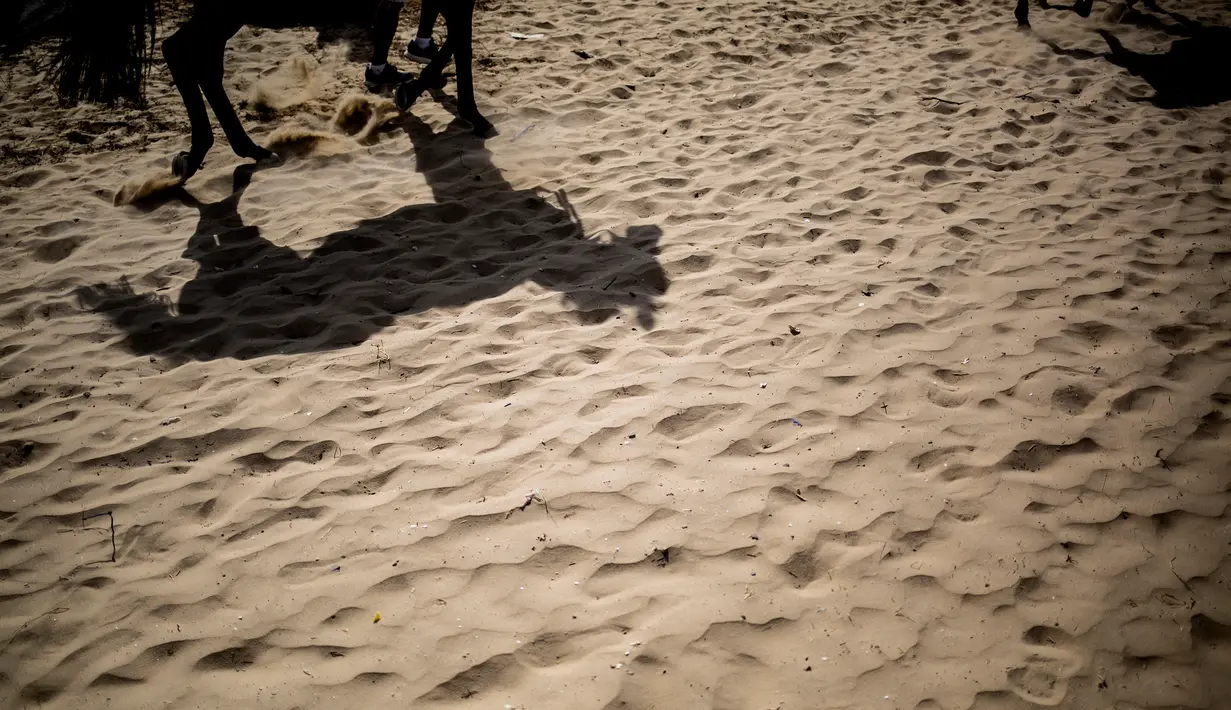 Siluet seekor kuda terlihat di pasir sebelum mengikuti lomba pacuan kuda di sepanjang pantai di Sanlucar de Barrameda, Spanyol pada 11 Agustus 2019. Balap kuda di tepi pantai ini merupakan acara tahunan yang telag berlangsung selama lebih dari 140 tahun. (AP Photo/Javier Fergo)