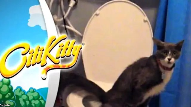 multipage-kitty-140211c-i2.jpg