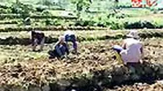 liputan6