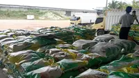 PT Rajawali Nusindo mempercepat pendistribusian beras program Stabilitas Pasokan dan Harga Pangan (SPHP) dan minyak goreng Minyakita ke seluruh Wilayah Indonesia. (Dok Rajawali)