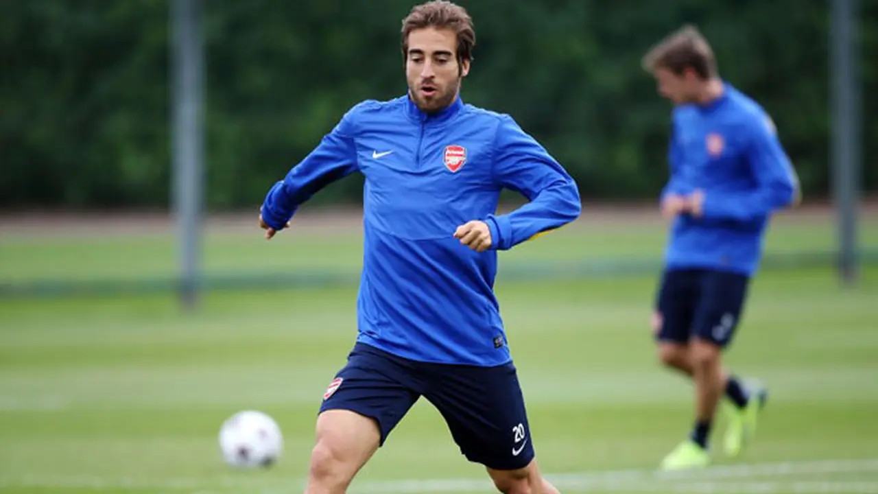 mathieu-flamini-131003c.jpg