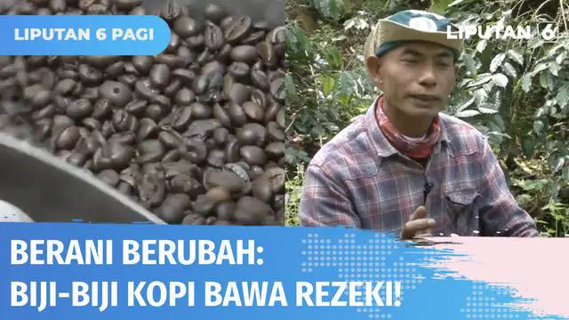 VIDEO: Berani Berubah: Tak Sukses di Tebu, Pundi-pundi Rupiah Haryanto Justru Mengalir Berkat Kopi