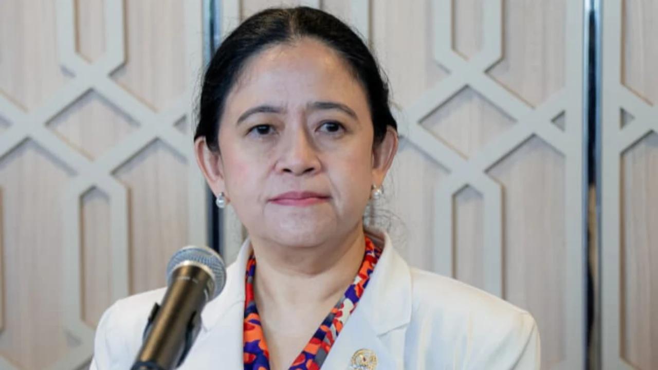 Puan Minta Pemerintah Beri Ketepatan Informasi soal Hantavirus untuk Hindari Kepanikan Masyarakat
