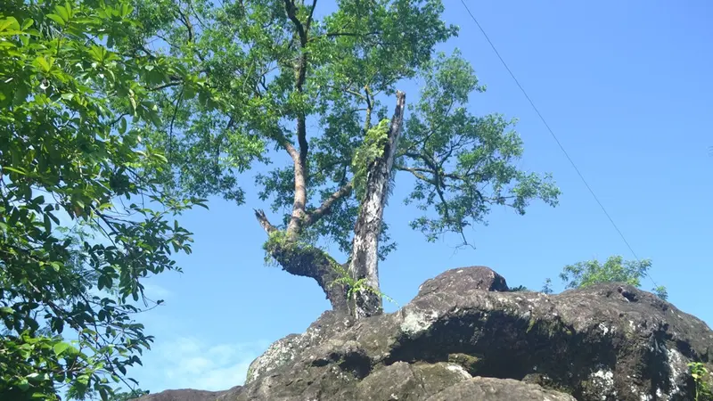 Situs Watu Tumpang, Karangsambung, Kebumen, Jawa Tengah pada masa jayanya kerap dikunjungi oleh orang dengan beragam keinginan. (Foto: Liputan6.com/Muhamad Ridlo)