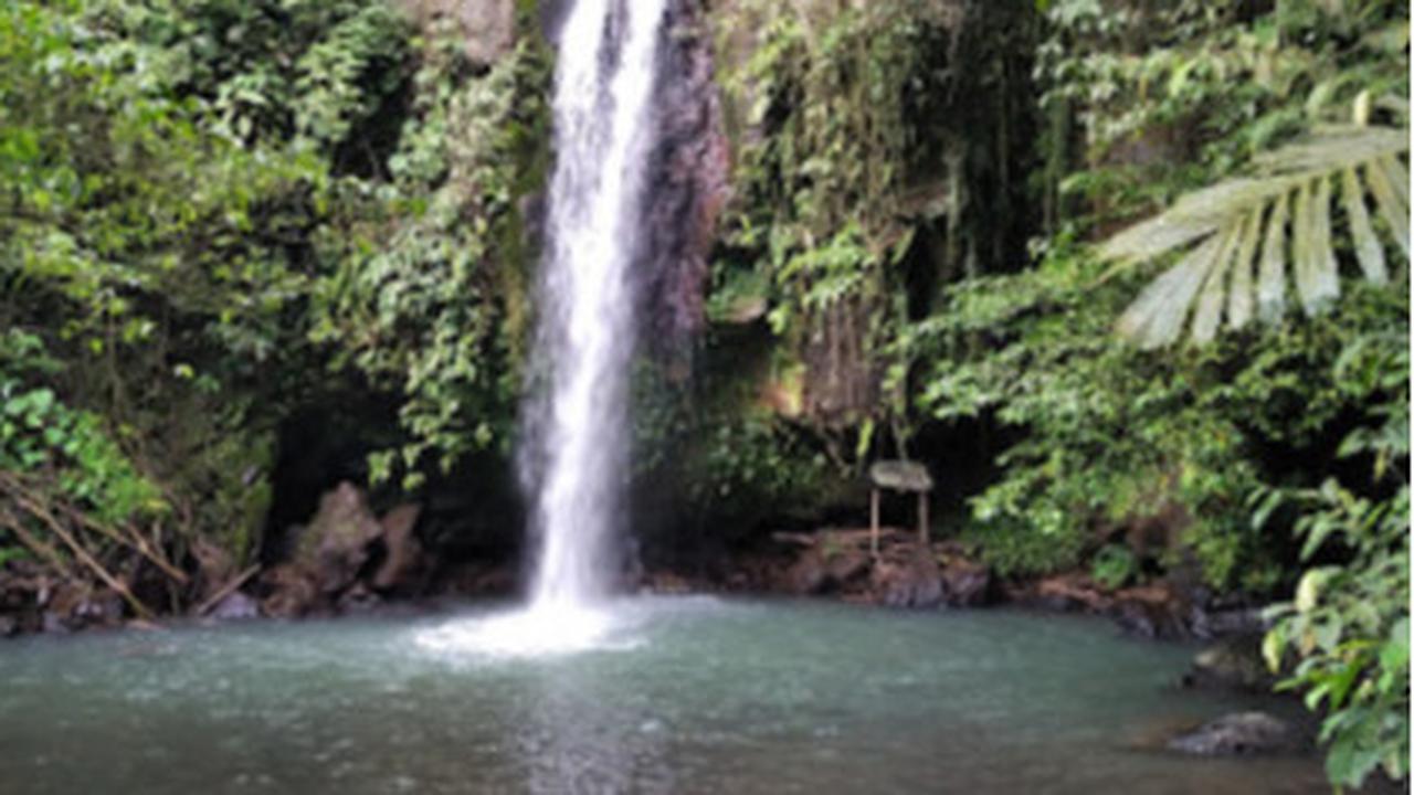 Pesona Curug Cikotak Padarincang, Sekeping Surga dari Tengah Hutan Serang