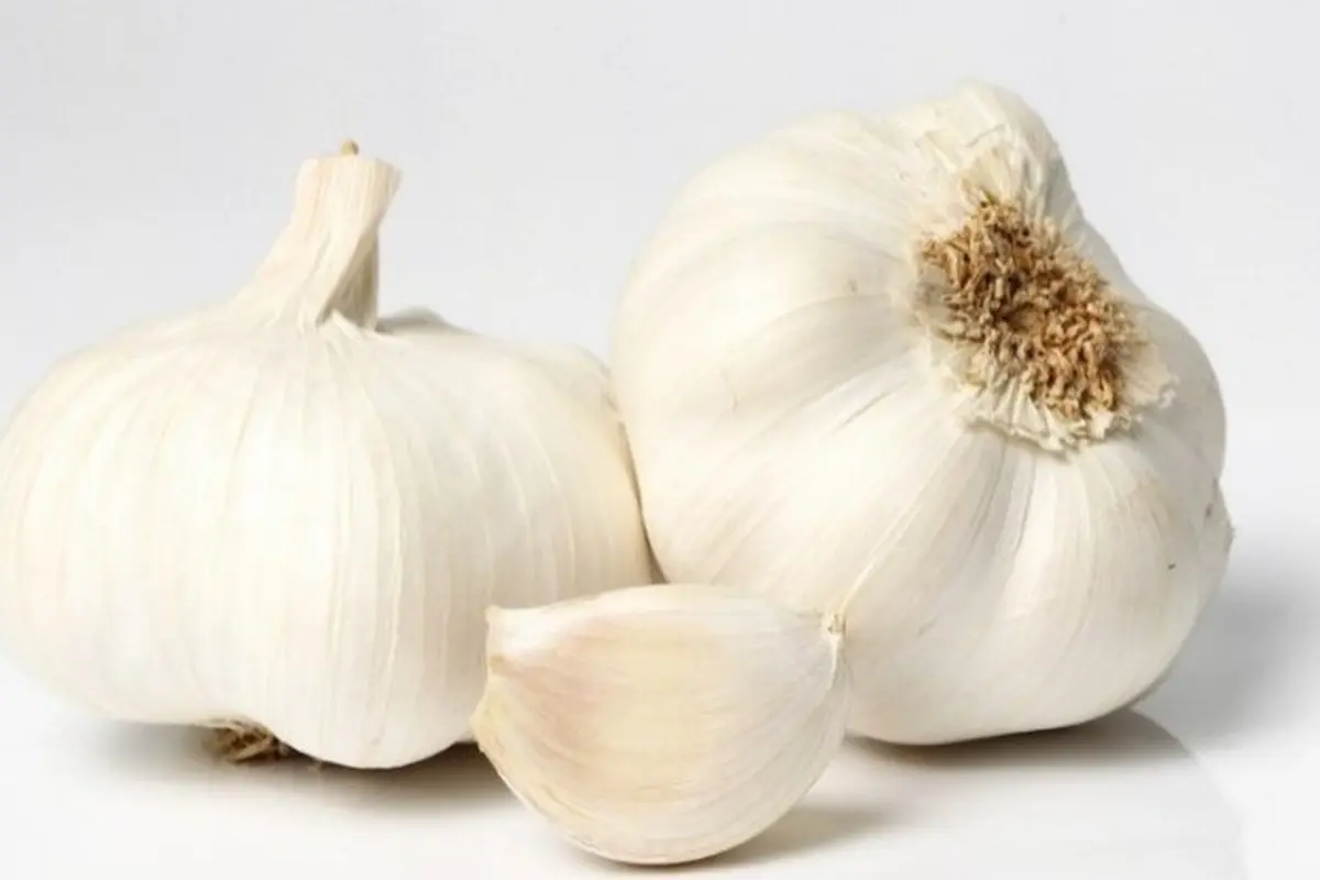 Bawang Putih (Sumber: freepik.com/Racool_studio)