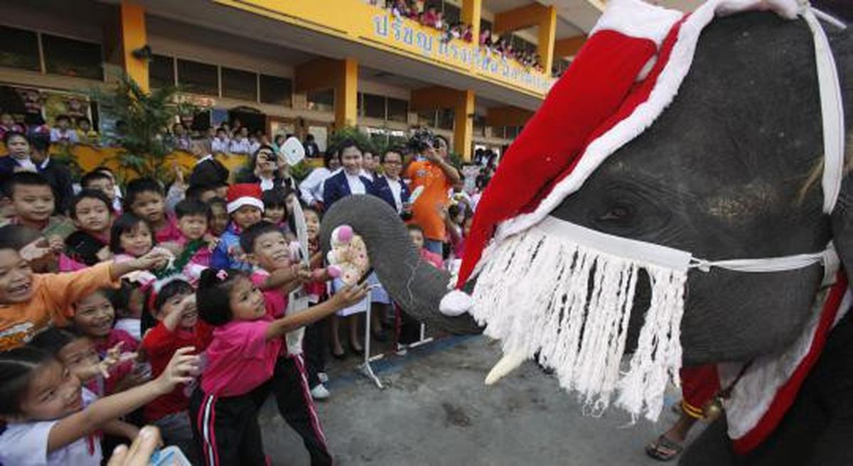 Gajah berkostum Santa Claus hibur para siswa di Bangkok