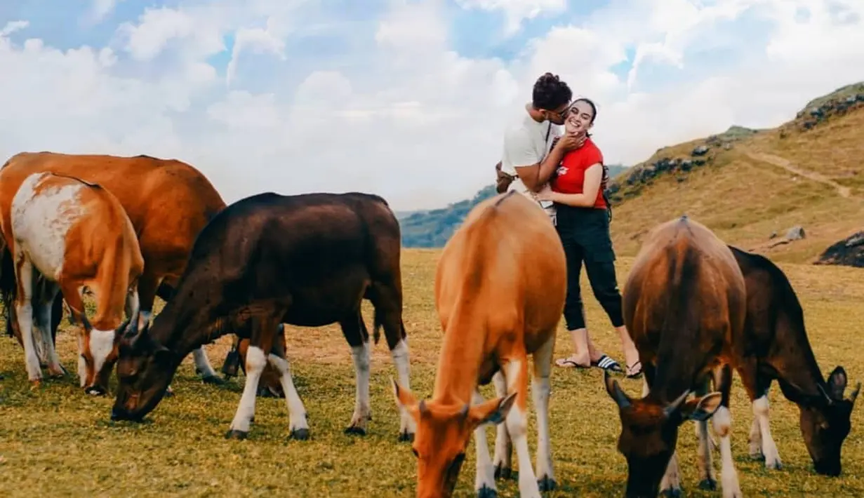 (Instagram/ammarzoni)