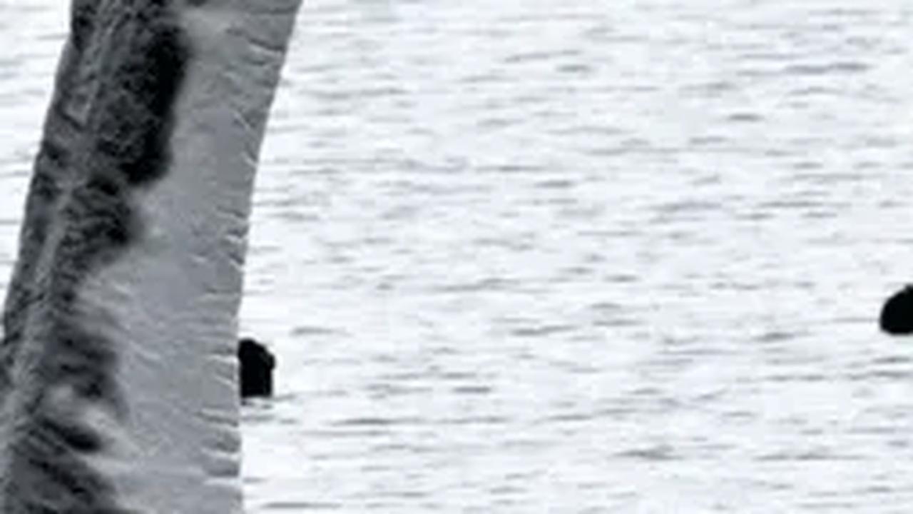 Mungkin kita tidak percaya terhadap Nessie, namun tentu saja kita akan senang jika terbukti salah.