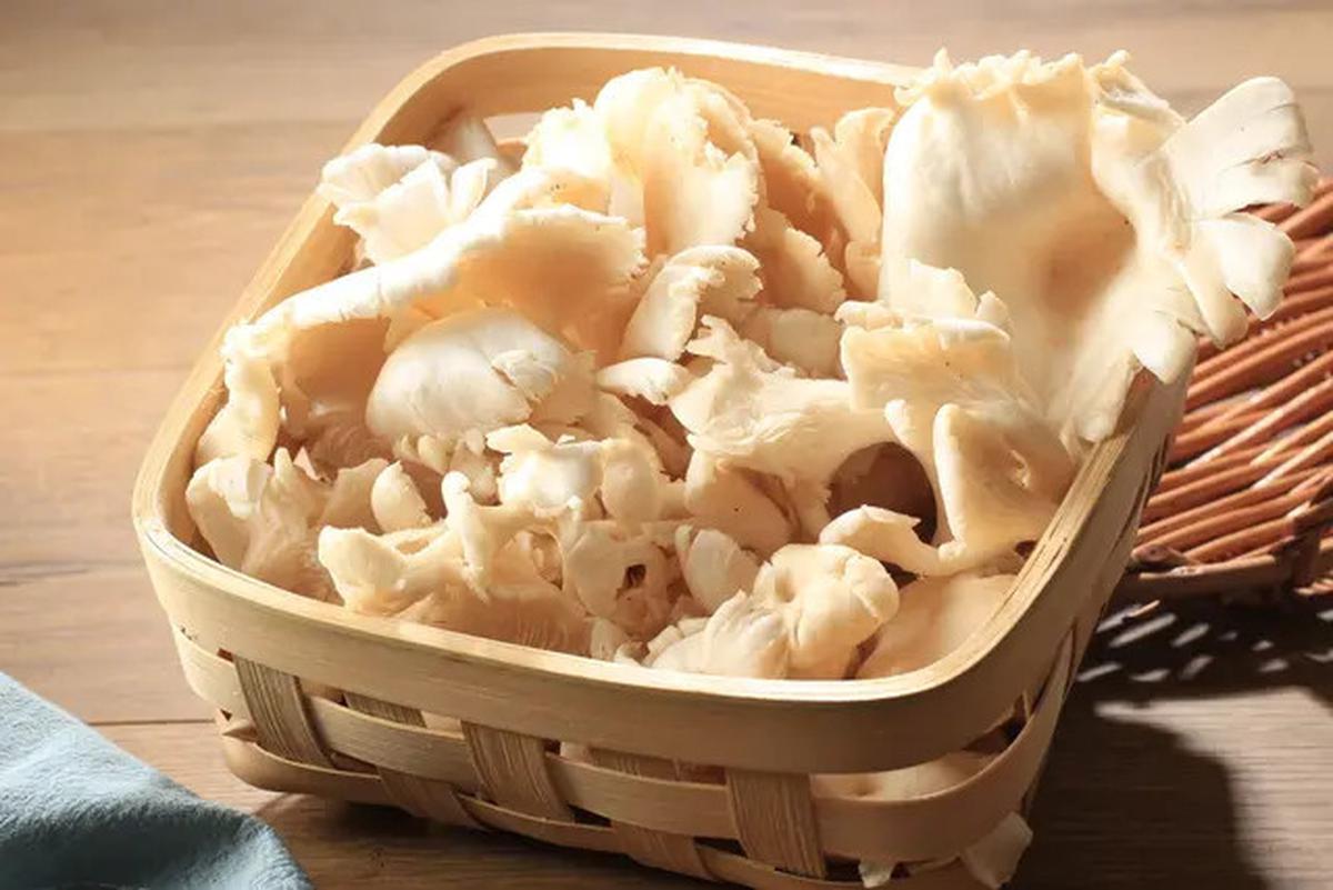 Ungkap Kepribadian Berdasarkan Sayur Favorit, Kamu Suka Jenis Sayuran Apa?