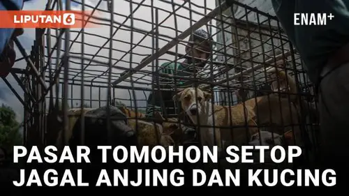 VIDEO: Pasar Ekstrem Sulawesi Setop Jagal  Kuncing dan Anjing