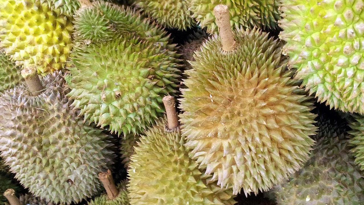 Cara Baru Diplomasi Indonesia terhadap China Lewat Durian Beku
