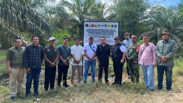 Satgas PKH Sita Kebun Sawit Ilegal
