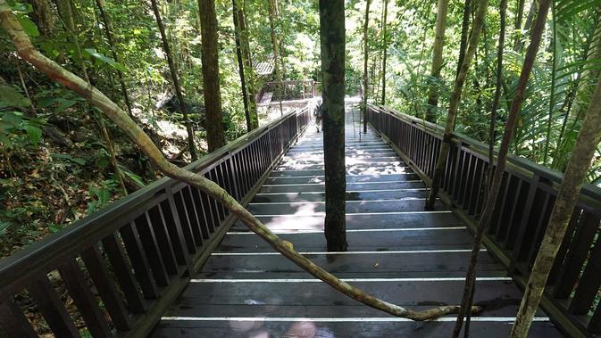 Warga tidak memangkas tanaman di tangga kayu Piaynemo Raja Ampat (Foto: Ana Septiana)