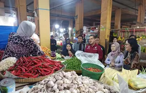 KPPU akan terus menelusuri menelusuri rantai distribusi bawang putih di Sumut