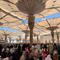 Jemaah haji Indonesia beribadah di Masjid Nabawi, Madinah, sebelum digeser ke Makkah. (dok. Media Center Haji 2026)