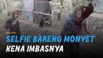 Momen apes dialami oleh perempuan ini ketika berfoto dengan seekor monyet.