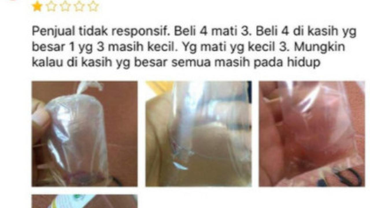 5 Respons Testimoni Pembeli di Online Shop, Lucu tapi Bikin Kesal