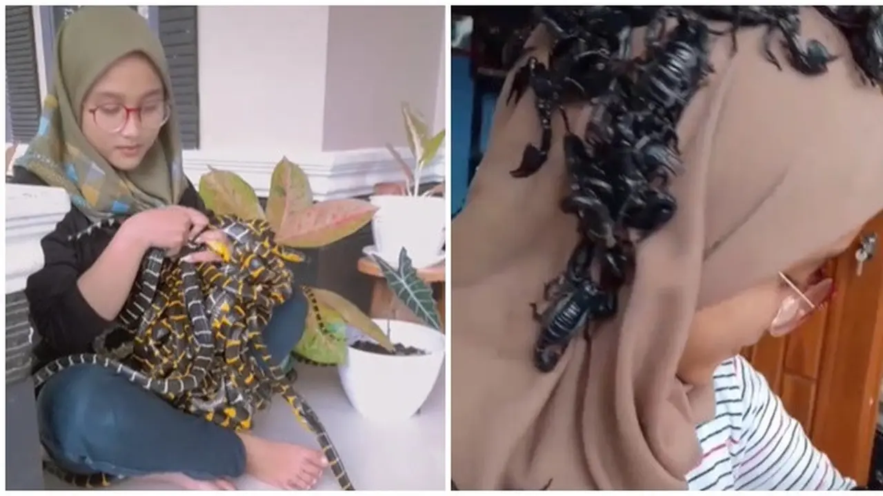 Viral Gadis Pelihara Puluhan Ular Sekaligus, Bikin Warganet Bergidik