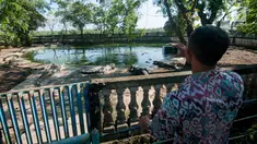 Pengunjung mengambil gambar buaya di penangkaran sekaligus tempat wisata Taman Buaya Cikarang di Bekasi, Rabu (28/6). Salah satu penangkaran terbesar di Asia bahkan dunia ini bisa dijadikan alternatif wisata libur Lebaran. (Liputan6.com/Gempur M Surya)