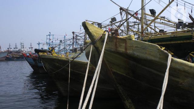 <span>Kapal tangkap ikan GT 30 bersandar di Pelabuhan Muara Baru dan Pelabuhan Angke, Jakarta, Sabtu (9/10/2021). Dengan terbitnya PP Nomor 85 Tahun 2021, PNBP untuk para nelayan mengalami kenaikan sebesar 600 persen dari tarif biasanya. (merdeka.com/Imam Buhori)</span>