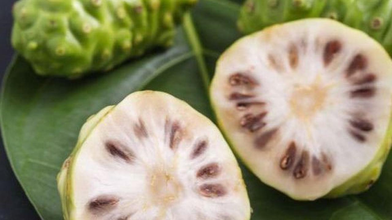 Mengkudu