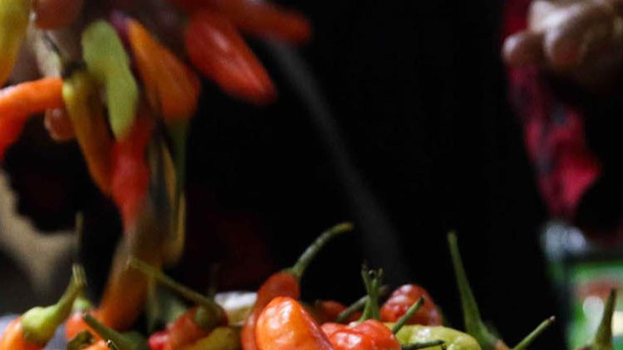 FOTO: Makin Pedas! Harga Cabai Rawit Tembus Rp105 Ribu per Kilogram, Ini Penyebabnya