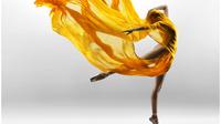 Foto Jade Princessa Nugroho karya Nanen Lariza, berjudul Yellow Crane, yang turut di pamerkan pada pameran SK-Art &amp; Friends, termasuk foto yang di favoritkan. (Dok. IST)