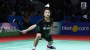 Pebulu tangkis unggulan ketujuh tunggal putra Indonesia Open 2019, Anthony Sinisuka Ginting saat melawan Kantaphon Wangcharoen (Thailand) di babak 16 besar Indonesia Open 2019 di Istora Senayan, Jakarta, Kamis (18/7/2019). Anthony kalah 20-22, 21-11, 19-21. (Liputan6.com/Helmi Fithriansyah)