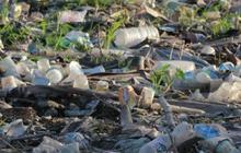 Ekonomi Sirkular Jadi Solusi Persoalan Sampah di Indonesia, Begini Skemanya