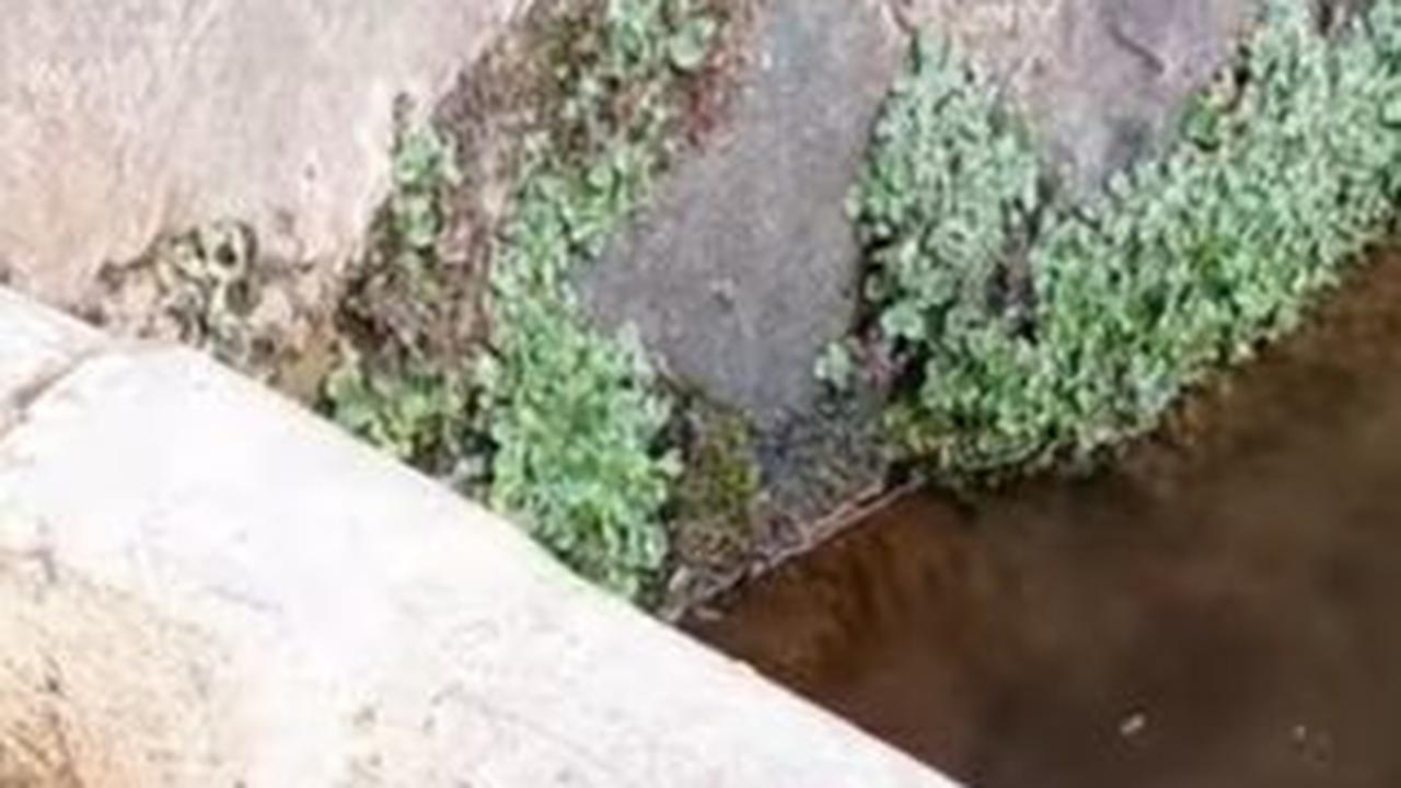 "Jadi ini sudah disedekahkan oleh yang punya, tanah ini supaya air itu tidak dijual," kata pria perekam video menimpali.&nbsp;