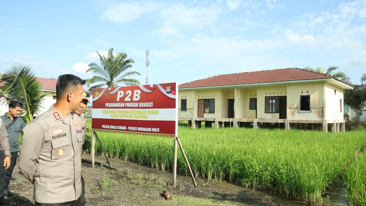 kantor polisi jadi sawah