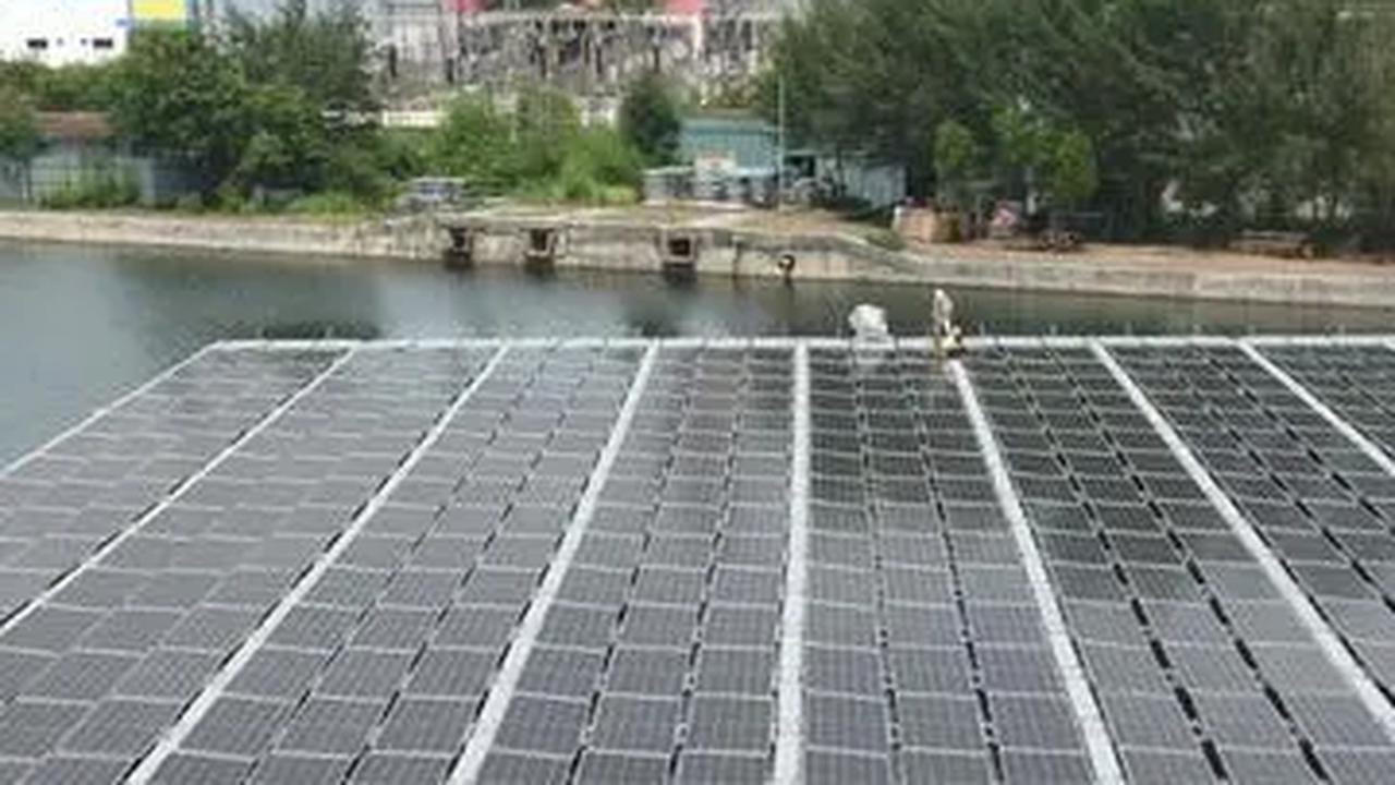 Pengembangan Bisnis Energi Rendah Karbon, Limbah Cair Kelapa Sawit Diubah Jadi Bahan Bakar