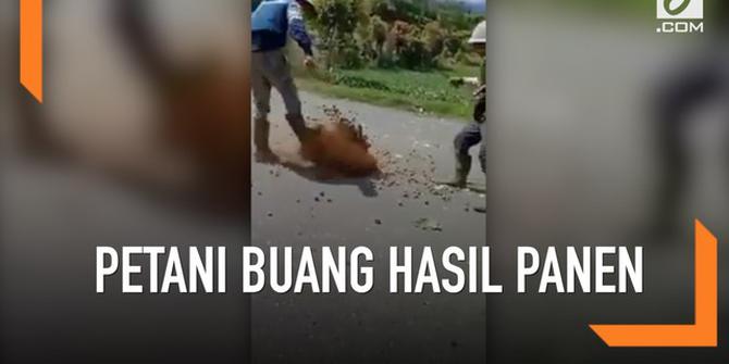 VIDEO: Viral, Petani Jambi Buang Hasil Panen ke Jalan