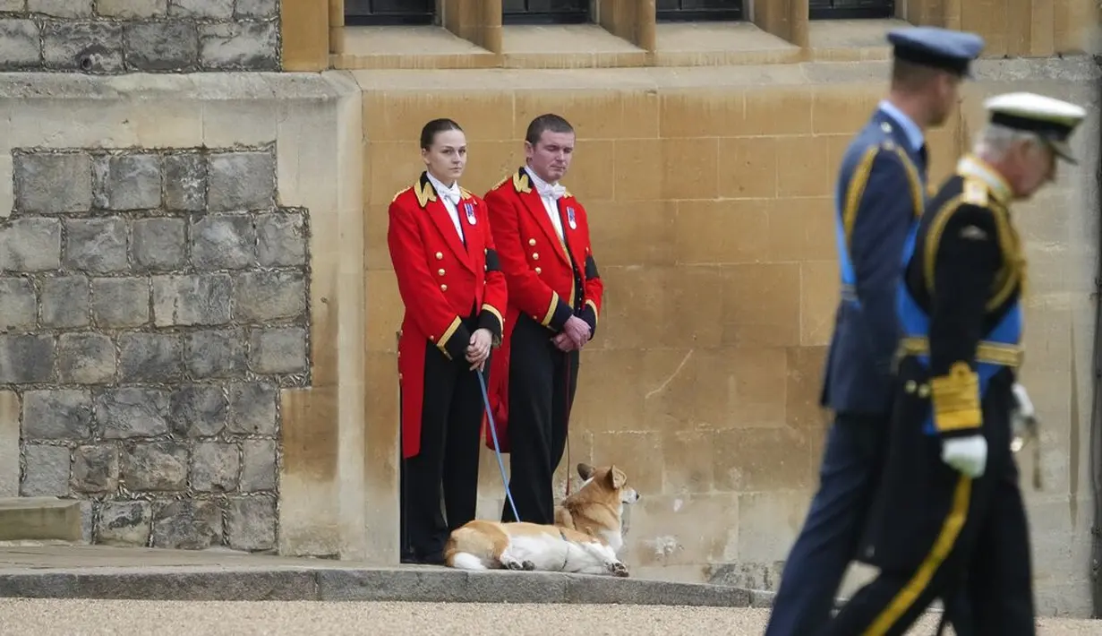 <p>Mendiang Ratu Elizabeth II tak perlu mengkhawatirkan dua corgi kesayangannya. Sumber dari dalam istana menyebutkan bahwa kedua anjing ini akan dipelihara oleh Pangeran Andrew dan Sarah Ferguson (Foto: AP Photo/Gregorio Borgia, Pool)</p>