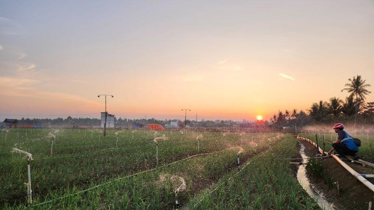 Dorong Ketahanan Pangan, Pengguna Electrifying Agriculture PLN Sulselrabar Meningkat 8,2 Persen